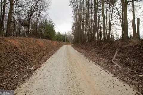 0 Kesler, Carnesville, GA 30521