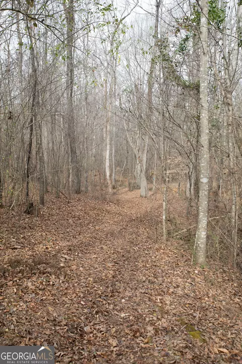 0 Kesler, Carnesville, GA 30521 photo 6