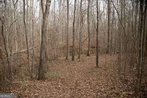 0 Kesler, Carnesville, GA 30521 photo 5