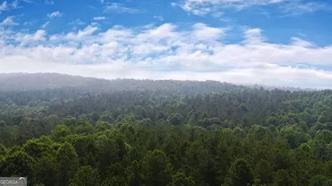 0 Mt Sinai Rd, Lula, GA 30554