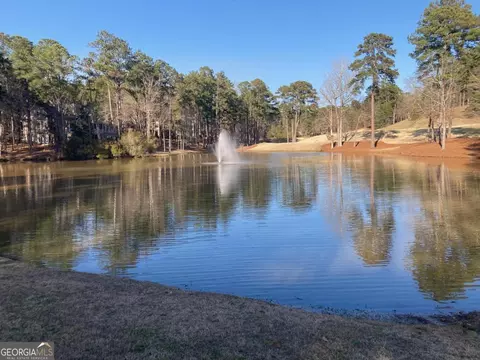 1060 Dejarnet Pl, Greensboro, GA 30642