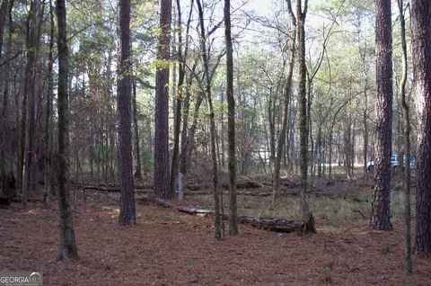 2991 Carey Station Rd, Greensboro, GA 30642