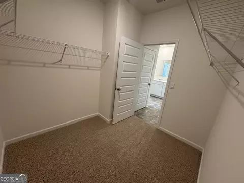 139 Oakchase Park Ln, Hampton, GA 30228 photo 31