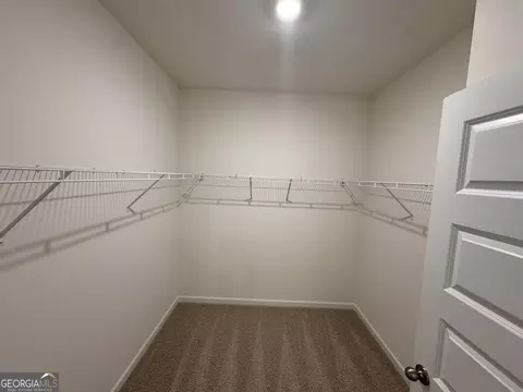 139 Oakchase Park Ln, Hampton, GA 30228 photo 30