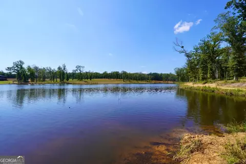 239 Walters Rd #TRACT 5, Barnesville, GA 30204 photo 9