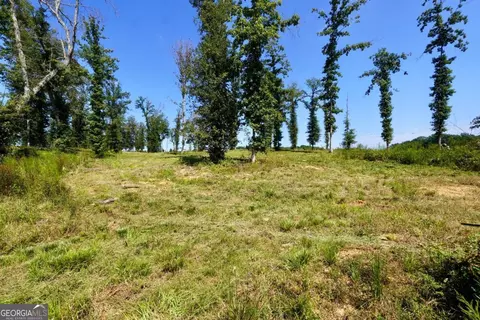 239 Walters Rd #TRACT 5, Barnesville, GA 30204 photo 5