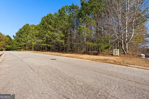 2501 Lake Erma Dr, Hampton, GA 30228 photo 15