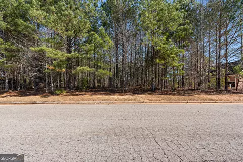 2501 Lake Erma Dr, Hampton, GA 30228 photo 14