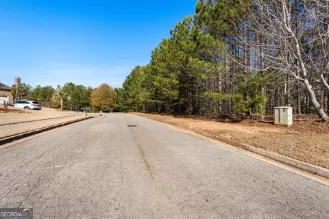 2501 Lake Erma Dr, Hampton, GA 30228 photo 16