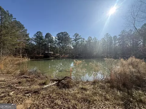 158 Union Grove Church Rd, Wrightsville, GA 31096