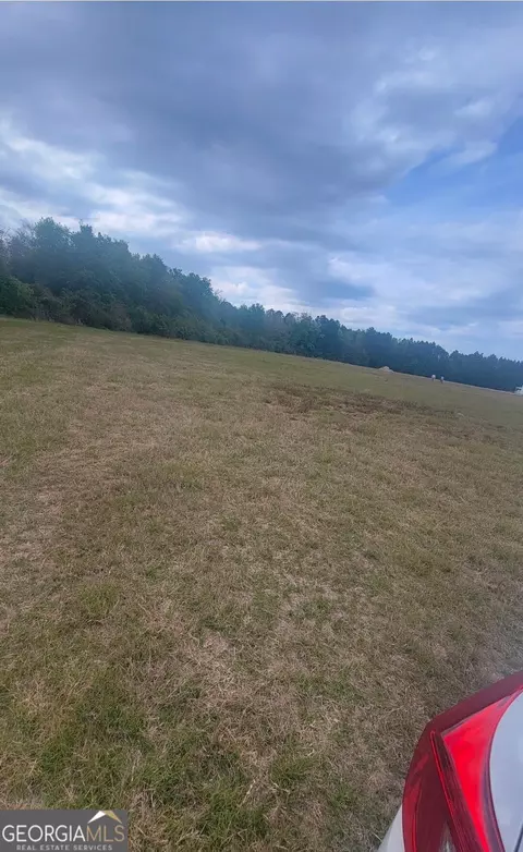 481 NE 523 Ne T Morris Rd, Ludowici, GA 31316
