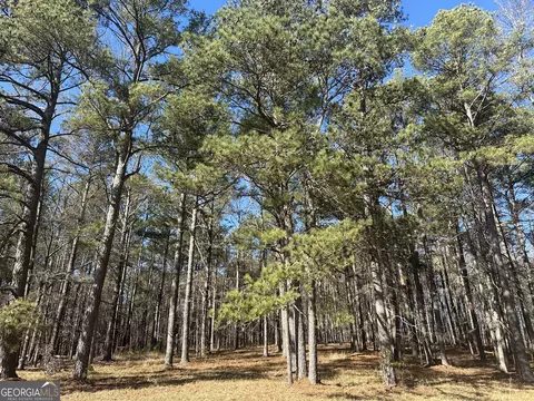 11 814 Acres Busbin Rd, Fayetteville, GA 30215