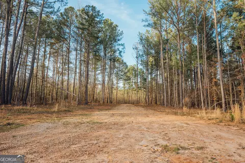 28 61 Acres Sandy Creek Rd, Madison, GA 30650