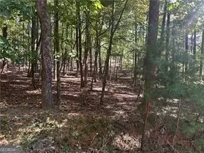LT1351 Willow Terrace #1351, Jasper, GA 30143
