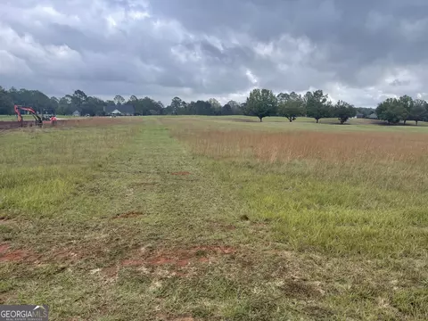 44 Crabapple Dr, Hawkinsville, GA 31036