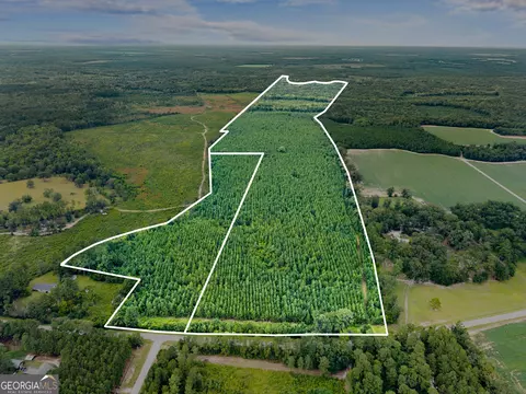 232 Acres Old River Rd N, Statesboro, GA 30461