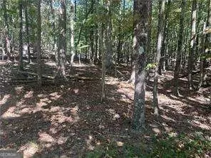 Lt1352 Willow Terrace, Jasper, GA 30143