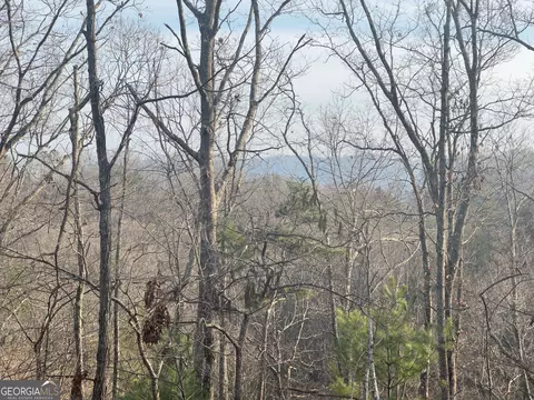 Tract 1 Century Lane, Blue Ridge, GA 30513