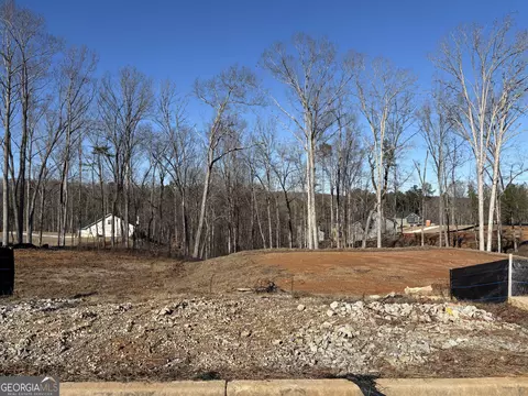 3390 Trevi Trl, Douglasville, GA 30135