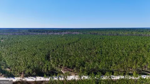 30 Ac Owens Rd, Odum, GA 31555