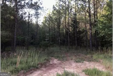 0 Lower Mill Rd, Crawfordville, GA 30631