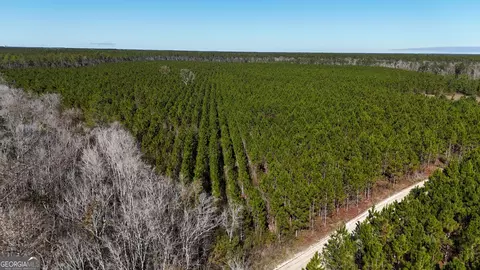 29 Ac Owens Rd, Odum, GA 31555