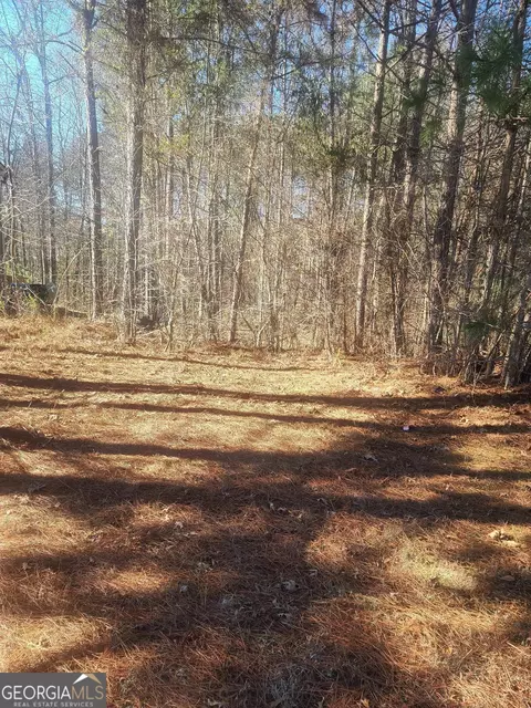 1385 Pebble Ridge Dr, Hampton, GA 30228