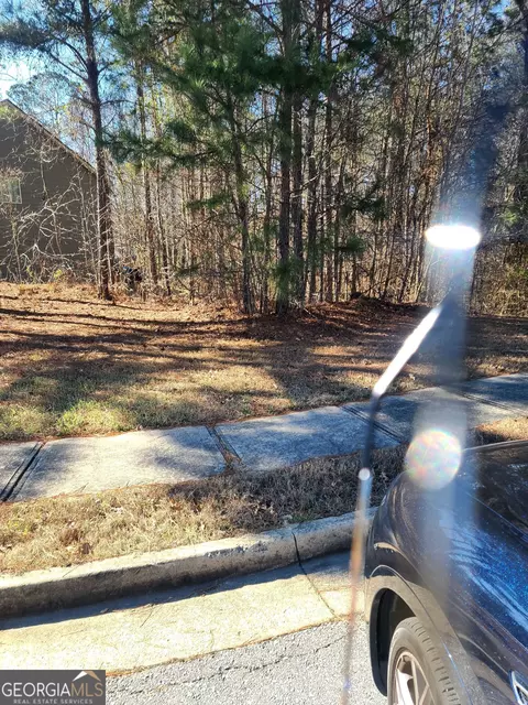 1385 Pebble Ridge Dr, Hampton, GA 30228 photo 4