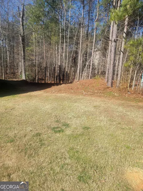 1385 Pebble Ridge Dr, Hampton, GA 30228 photo 2