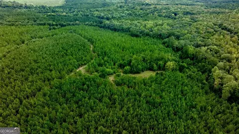 0 Les Smith Rd, Ellaville, GA 31806