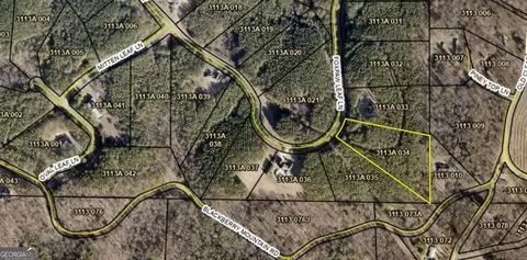 0 Fox Paw Leaf Ln, Ellijay, GA 30540