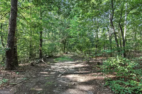 1592 Black Mountain Rd, Toccoa, GA 30577 photo 17