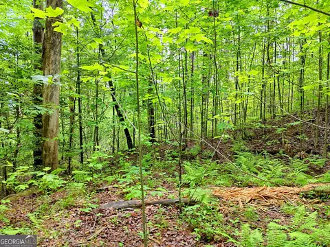 0 Alto Ln, Rabun Gap, GA 30568