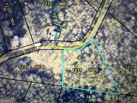 1029 Raccoon Ridge Rd, Ranger, GA 30734
