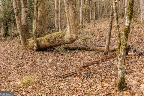 Other - 202 Daniel Rd, Thomaston, GA 30286 photo 4 of 47