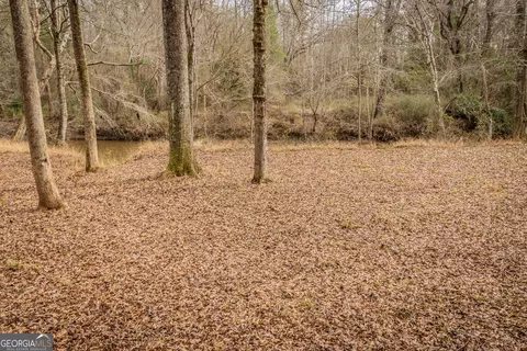 Other - 202 Daniel Rd, Thomaston, GA 30286 photo 5 of 47