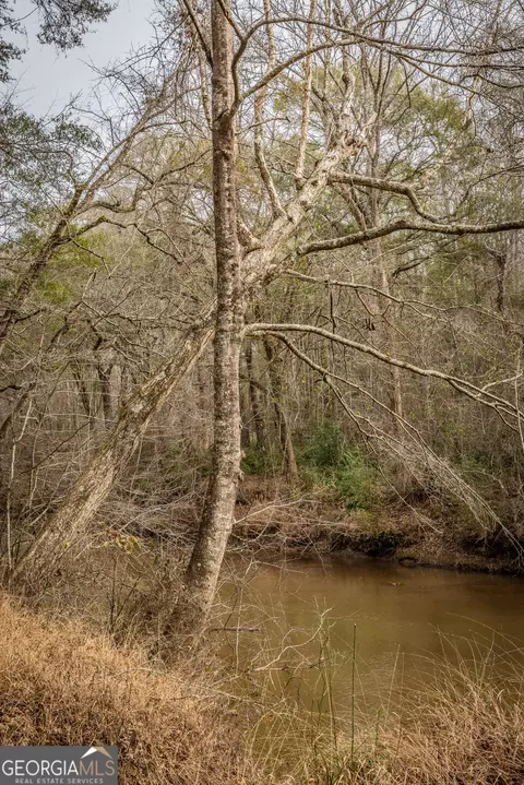 View/Area - 202 Daniel Rd, Thomaston, GA 30286 photo 3 of 23