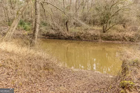 View/Area - 202 Daniel Rd, Thomaston, GA 30286 photo 9 of 23