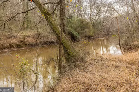 View/Area - 202 Daniel Rd, Thomaston, GA 30286 photo 8 of 23
