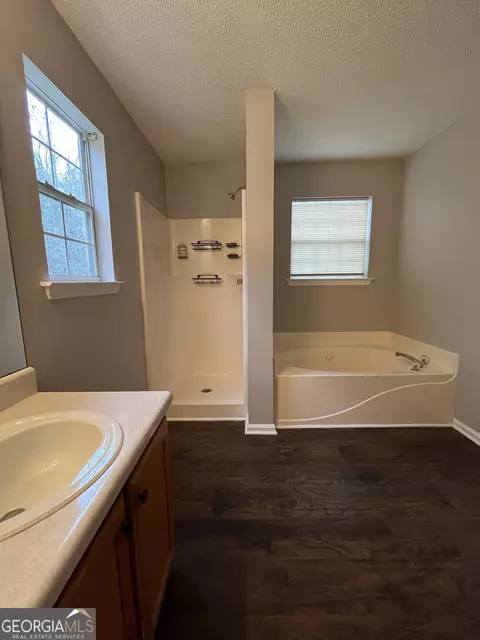 Bath - 156 Galway Ln, Hampton, GA 30228 photo 4 of 4