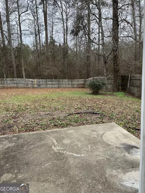 Exterior - 156 Galway Ln, Hampton, GA 30228 photo 4 of 4
