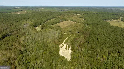 0 Poole Rd, Ellaville, GA 31806