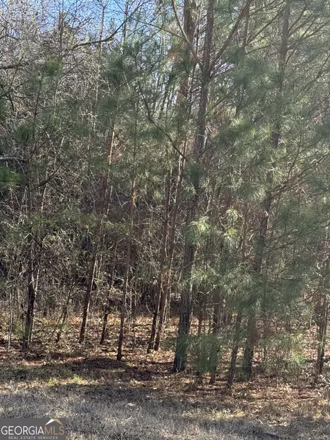 13905 Brown Bridge Rd, Covington, GA 30016