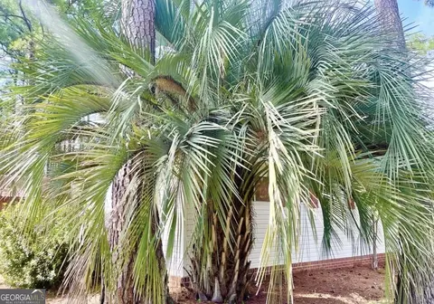 1031 Moore Haven Cir NE, Townsend, GA 31331