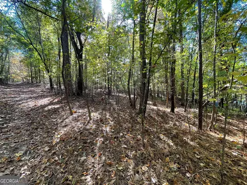 1730 Campbell Rd, Covington, GA 30014 photo 10