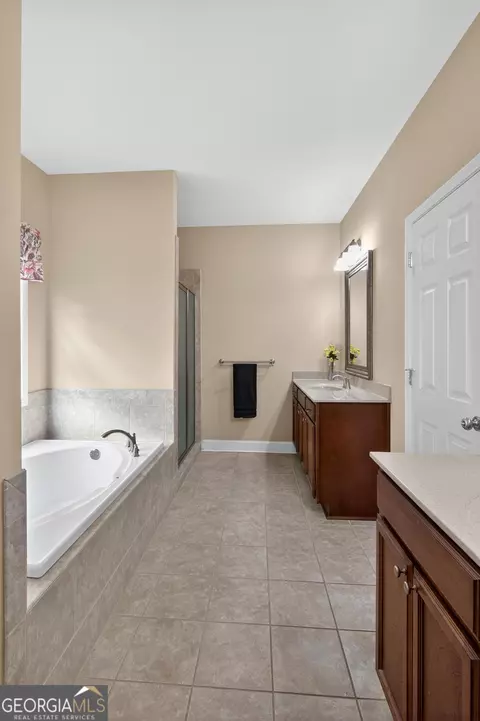Bath - 250 Sara Beth Dr, Brooklet, GA 30415 photo 3 of 6