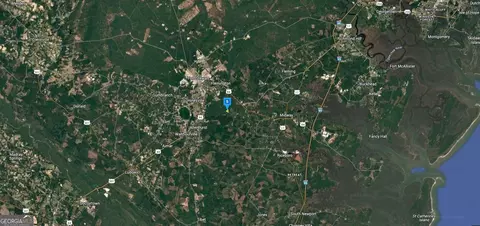 423 Tobe Lambert Rd, Midway, GA 31320 photo 3