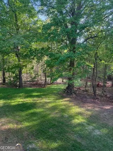 236 Dewaters Rd, Commerce, GA 30529 photo 14