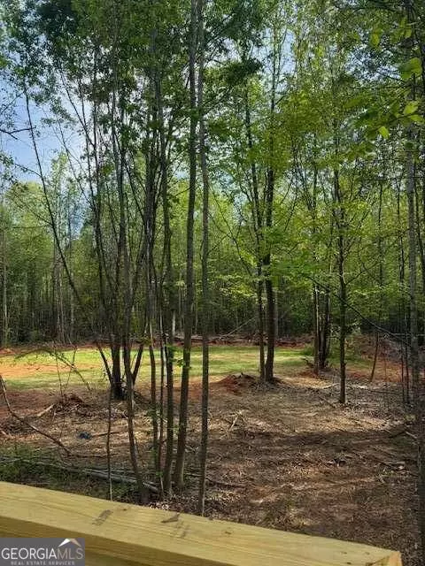 236 Dewaters Rd, Commerce, GA 30529 photo 16