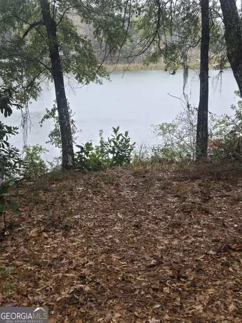 lot10 Cotton Cove Drum, Georgetown, GA 39854